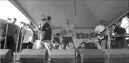 bayguardian photo